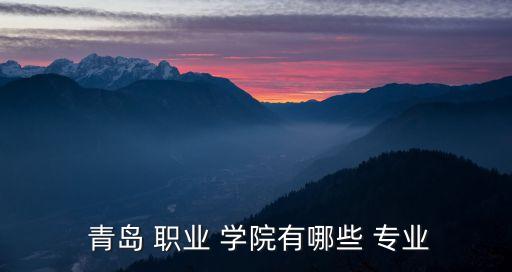  青岛 职业 学院有哪些 专业