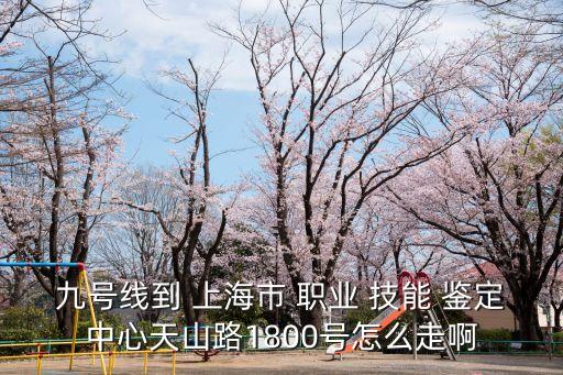 九号线到 上海市 职业 技能 鉴定中心天山路1800号怎么走啊
