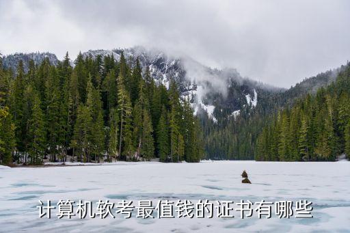 计算机软考最值钱的证书有哪些