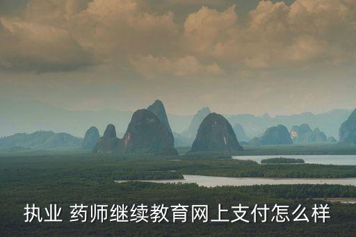 执业 药师继续教育网上支付怎么样