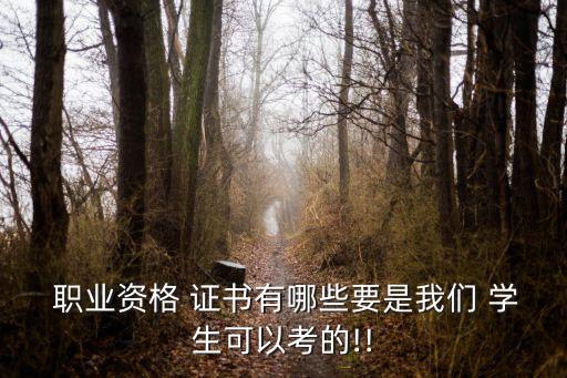  职业资格 证书有哪些要是我们 学生可以考的!!