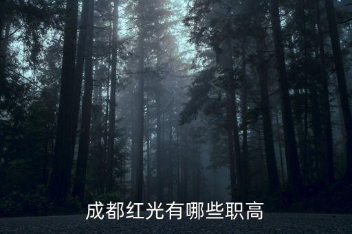 成都红光有哪些职高