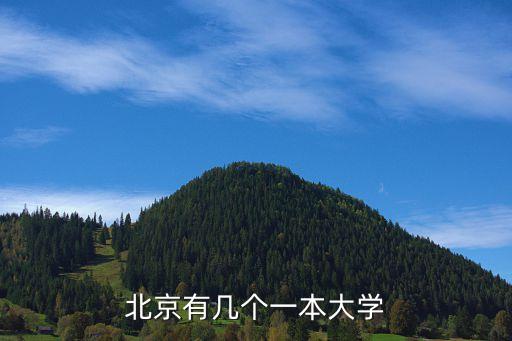 北京有几个一本大学