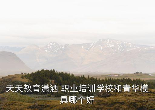 天天教育潇洒 职业培训学校和青华模具哪个好