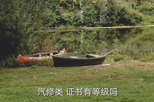汽修职业技能鉴定证书,部队考的职业技能鉴定证书在哪里查