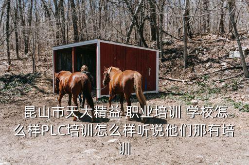  昆山市天大精益 职业培训 学校怎么样PLC培训怎么样听说他们那有培训