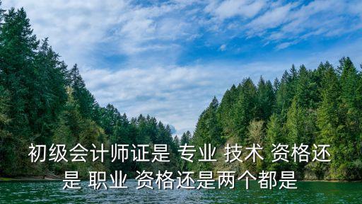 初级会计师证是 专业 技术 资格还是 职业 资格还是两个都是