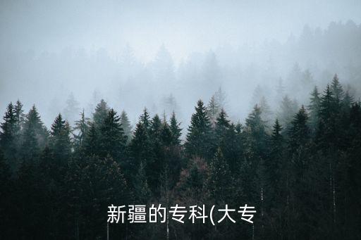  新疆的专科(大专