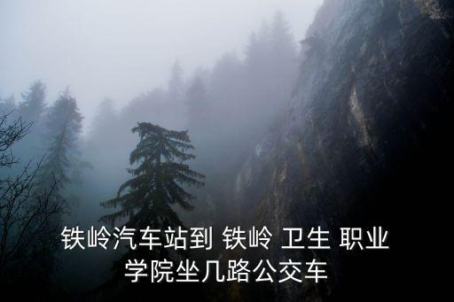  铁岭汽车站到 铁岭 卫生 职业 学院坐几路公交车