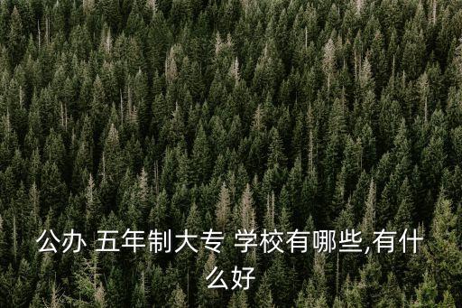 公办 五年制大专 学校有哪些,有什么好