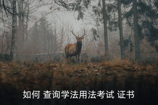 法律职业证书查询