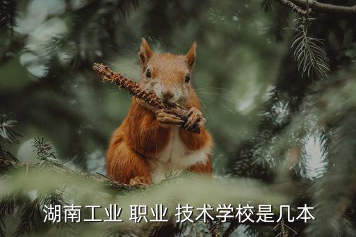  湖南工业 职业 技术学校是几本