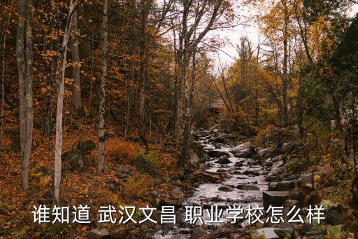 武汉哪里有职业技能培训班