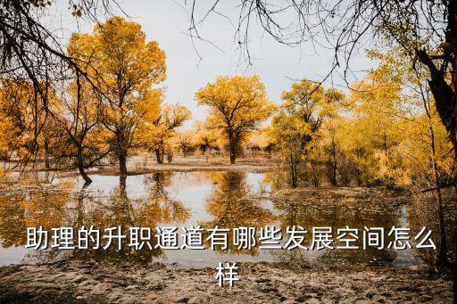 培训助理职业发展前景,运营助理的发展前景怎么样