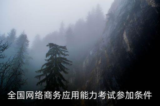 全国网络商务应用能力考试参加条件