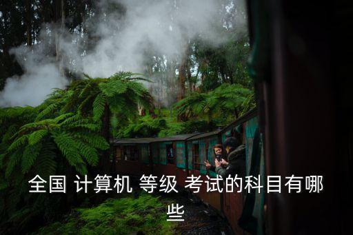 计算机职业技能等级考试,全国计算机技能等级考试