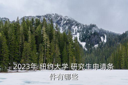 2023年 纽约大学 研究生申请条件有哪些