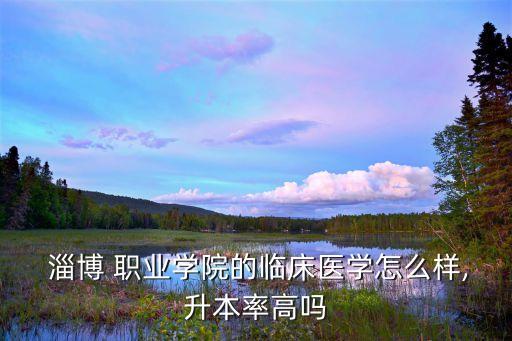 淄博职业学校教学平台,淄博交互式在线教学平台网址