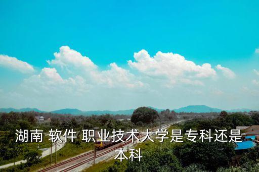 湖南 软件 职业技术大学是专科还是本科