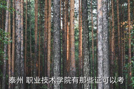 泰州 职业技术学院有那些证可以考