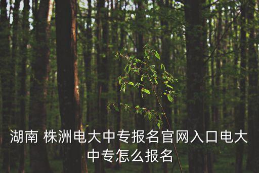 湖南 株洲电大中专报名官网入口电大中专怎么报名