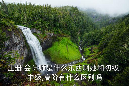 注册会计师是几级职业资格