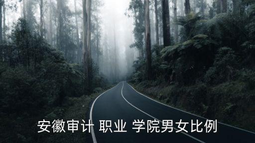 安徽省计职业学院