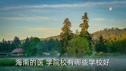海南的医 学院校有哪些学校好