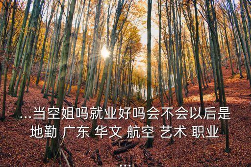广东华文航空艺术职业学校怎么样