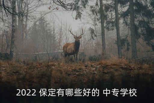 保定??职业中专,保定职业中专院校一年学费多少钱