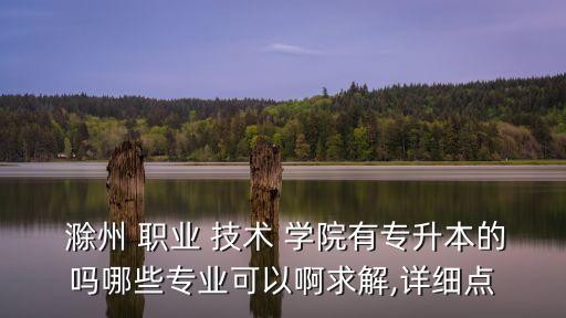 滁州职业技术学院成教处