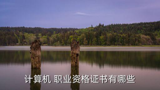 ccie职业规划