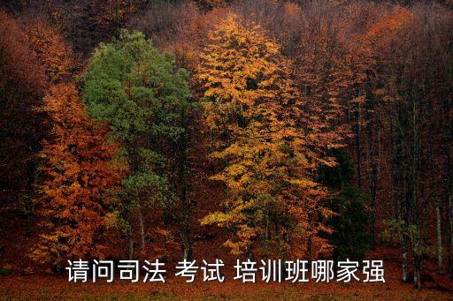 请问司法 考试 培训班哪家强