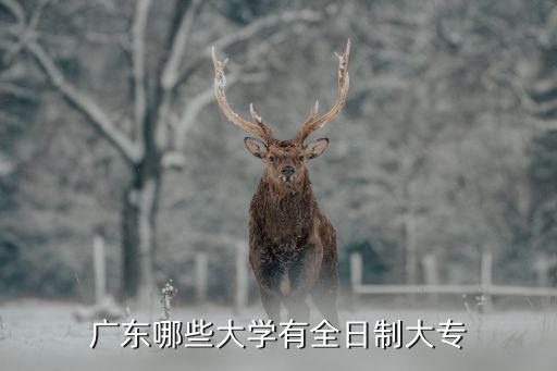 广东哪些大学有全日制大专