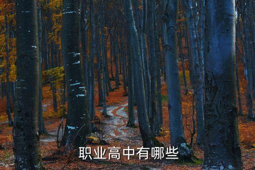  职业高中有哪些