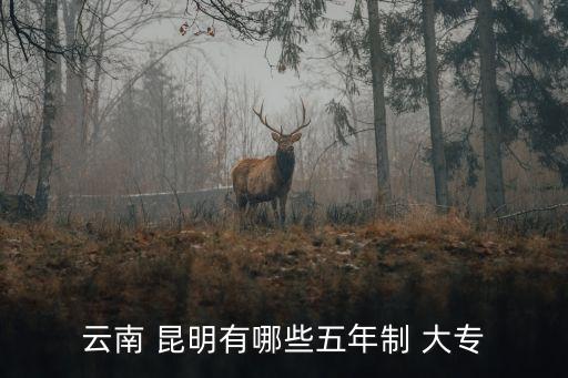 云南 昆明有哪些五年制 大专