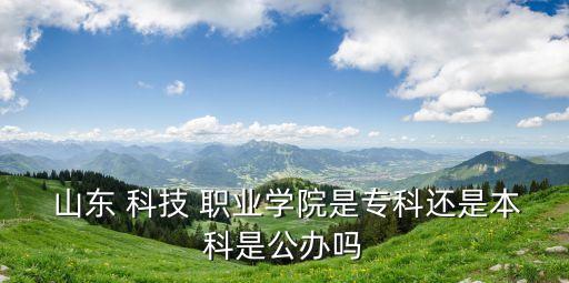  山东 科技 职业学院是专科还是本科是公办吗