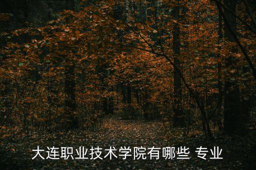 大连职业技术学院有哪些 专业