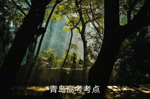 青岛高考考点