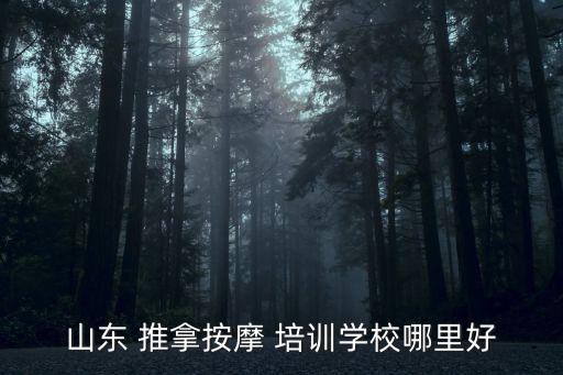 山东 推拿按摩 培训学校哪里好