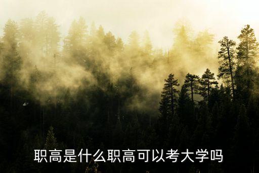 职高是什么职高可以考大学吗
