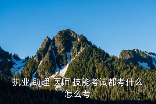 执业 助理 医师 技能考试都考什么怎么考