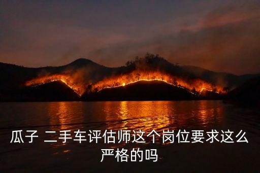 瓜子 二手车评估师这个岗位要求这么严格的吗