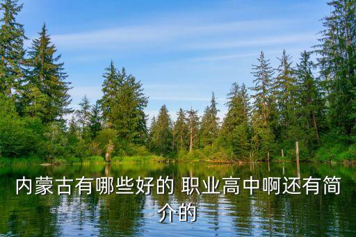 内蒙古有哪些好的 职业高中啊还有简介的