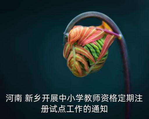 2013新乡职业教育局,新乡教育局电话投诉热线