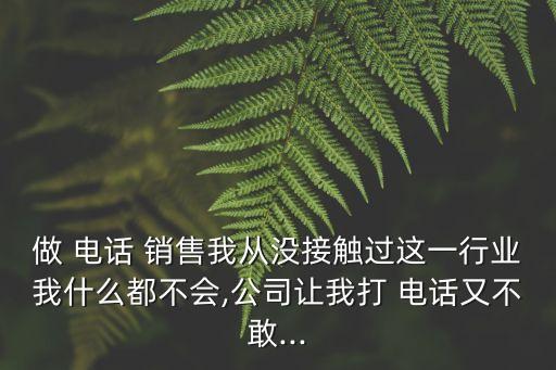 做 电话 销售我从没接触过这一行业我什么都不会,公司让我打 电话又不敢...
