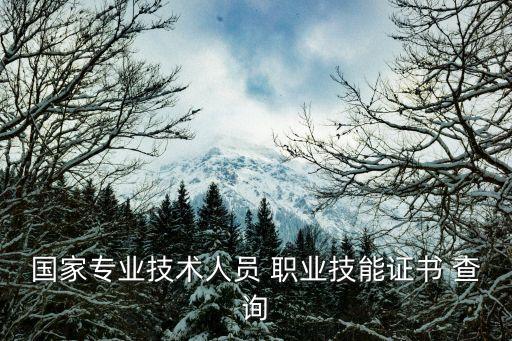 国家专业技术人员 职业技能证书 查询