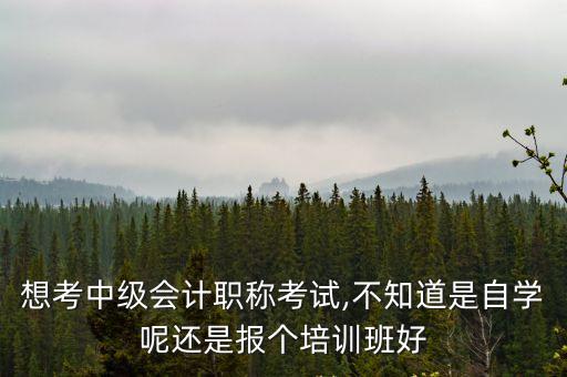 想考中级会计职称考试,不知道是自学呢还是报个培训班好