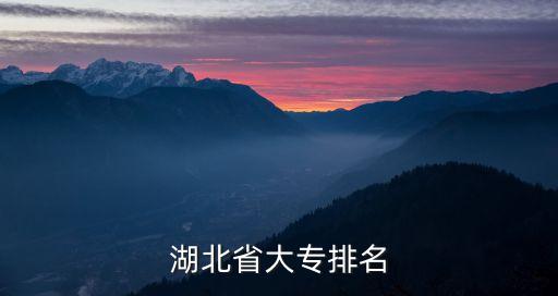 武汉中医职业技术学院