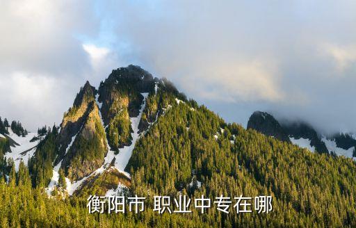  衡阳市 职业中专在哪
